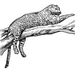 Página para colorir: Leopardo (animais) #9740 - Páginas para Colorir Imprimíveis Gratuitamente