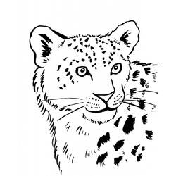 Página para colorir: Leopardo (animais) #9742 - Páginas para Colorir Imprimíveis Gratuitamente