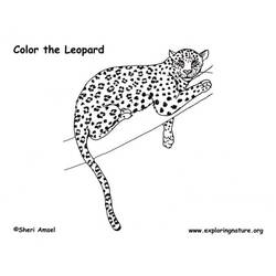 Página para colorir: Leopardo (animais) #9753 - Páginas para Colorir Imprimíveis Gratuitamente