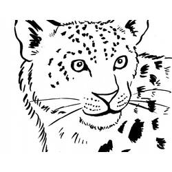 Página para colorir: Leopardo (animais) #9759 - Páginas para Colorir Imprimíveis Gratuitamente