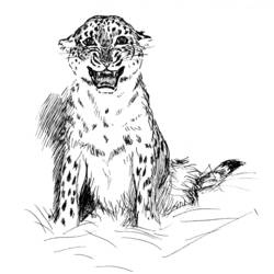 Página para colorir: Leopardo (animais) #9761 - Páginas para Colorir Imprimíveis Gratuitamente