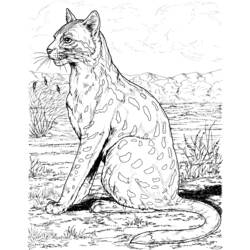 Página para colorir: Leopardo (animais) #9771 - Páginas para Colorir Imprimíveis Gratuitamente