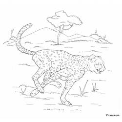 Página para colorir: Leopardo (animais) #9777 - Páginas para Colorir Imprimíveis Gratuitamente