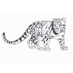 Página para colorir: Leopardo (animais) #9787 - Páginas para Colorir Imprimíveis Gratuitamente