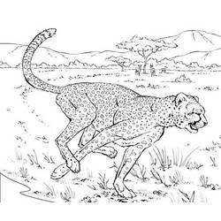 Página para colorir: Leopardo (animais) #9798 - Páginas para Colorir Imprimíveis Gratuitamente