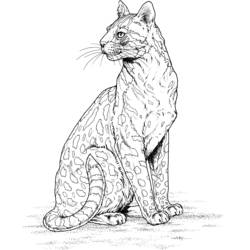 Página para colorir: Leopardo (animais) #9806 - Páginas para Colorir Imprimíveis Gratuitamente