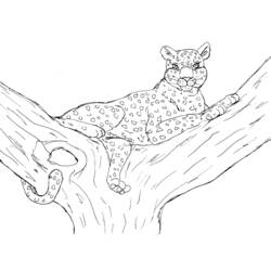 Página para colorir: Leopardo (animais) #9810 - Páginas para Colorir Imprimíveis Gratuitamente