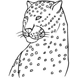Página para colorir: Leopardo (animais) #9814 - Páginas para Colorir Imprimíveis Gratuitamente