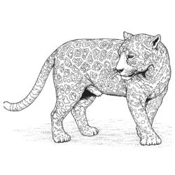 Página para colorir: Leopardo (animais) #9817 - Páginas para Colorir Imprimíveis Gratuitamente