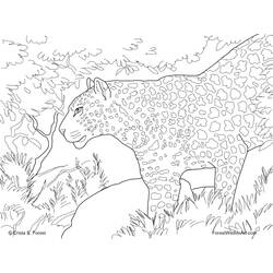 Página para colorir: Leopardo (animais) #9821 - Páginas para Colorir Imprimíveis Gratuitamente
