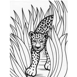 Página para colorir: Leopardo (animais) #9825 - Páginas para Colorir Imprimíveis Gratuitamente