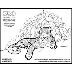Página para colorir: Leopardo (animais) #9834 - Páginas para Colorir Imprimíveis Gratuitamente