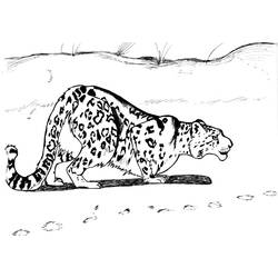Página para colorir: Leopardo (animais) #9836 - Páginas para Colorir Imprimíveis Gratuitamente