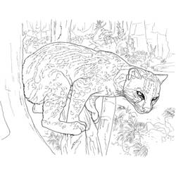 Página para colorir: Leopardo (animais) #9845 - Páginas para Colorir Imprimíveis Gratuitamente