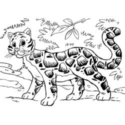 Página para colorir: Leopardo (animais) #9849 - Páginas para Colorir Imprimíveis Gratuitamente