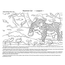 Página para colorir: Leopardo (animais) #9858 - Páginas para Colorir Imprimíveis Gratuitamente