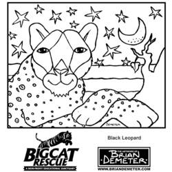 Página para colorir: Leopardo (animais) #9864 - Páginas para Colorir Imprimíveis Gratuitamente