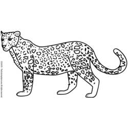 Página para colorir: Leopardo (animais) #9869 - Páginas para Colorir Imprimíveis Gratuitamente