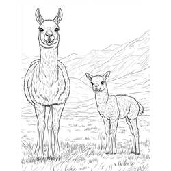 Desenho Lhama (Animais) #217833 para imprimir e colorir