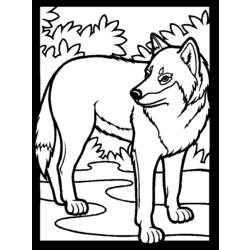 Página para colorir: Lobo (animais) #10440 - Páginas para Colorir Imprimíveis Gratuitamente