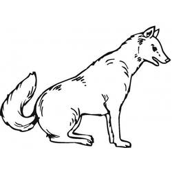 Página para colorir: Lobo (animais) #10452 - Páginas para Colorir Imprimíveis Gratuitamente