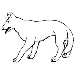 Página para colorir: Lobo (animais) #10505 - Páginas para Colorir Imprimíveis Gratuitamente