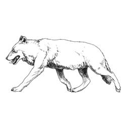 Página para colorir: Lobo (animais) #10530 - Páginas para Colorir Imprimíveis Gratuitamente