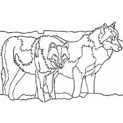 Página para colorir: Lobo (animais) #10535 - Páginas para Colorir Imprimíveis Gratuitamente