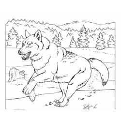 Página para colorir: Lobo (animais) #10543 - Páginas para Colorir Imprimíveis Gratuitamente