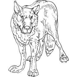 Página para colorir: Lobo (animais) #10547 - Páginas para Colorir Imprimíveis Gratuitamente