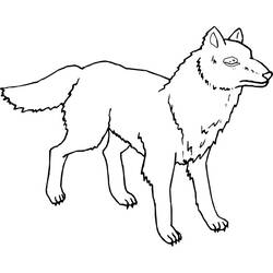 Página para colorir: Lobo (animais) #10600 - Páginas para Colorir Imprimíveis Gratuitamente