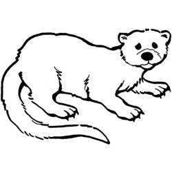 Página para colorir: Lontra (animais) #10653 - Páginas para Colorir Imprimíveis Gratuitamente