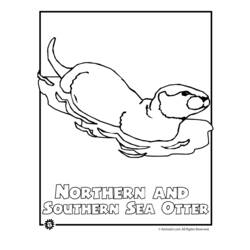 Página para colorir: Lontra (animais) #10674 - Páginas para Colorir Imprimíveis Gratuitamente
