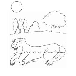 Página para colorir: Lontra (animais) #10718 - Páginas para Colorir Imprimíveis Gratuitamente