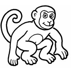 Página para colorir: Macaco (animais) #14144 - Páginas para Colorir Imprimíveis Gratuitamente