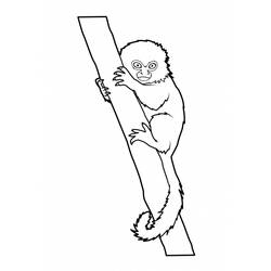 Página para colorir: Macaco (animais) #14168 - Páginas para Colorir Imprimíveis Gratuitamente