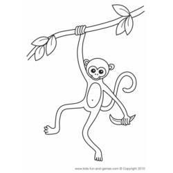 Página para colorir: Macaco (animais) #14184 - Páginas para Colorir Imprimíveis Gratuitamente
