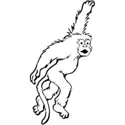 Página para colorir: Macaco (animais) #14243 - Páginas para Colorir Imprimíveis Gratuitamente