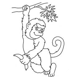 Página para colorir: Macaco (animais) #14254 - Páginas para Colorir Imprimíveis Gratuitamente