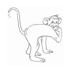 Página para colorir: Macaco (animais) #14278 - Páginas para Colorir Imprimíveis Gratuitamente