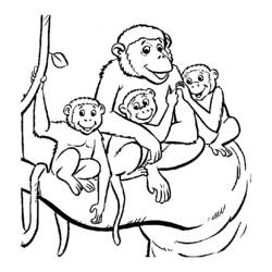 Página para colorir: Macaco (animais) #14290 - Páginas para Colorir Imprimíveis Gratuitamente