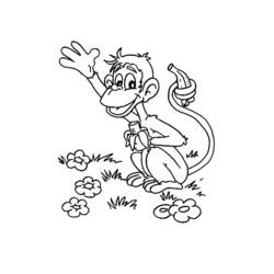 Página para colorir: Macaco (animais) #14300 - Páginas para Colorir Imprimíveis Gratuitamente