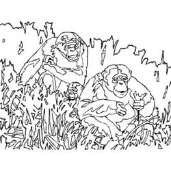 Página para colorir: Macaco (animais) #14331 - Páginas para Colorir Imprimíveis Gratuitamente