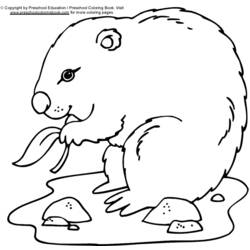 Página para colorir: Marmota (animais) #10899 - Páginas para Colorir Imprimíveis Gratuitamente