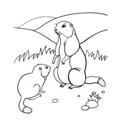 Página para colorir: Marmota (animais) #10990 - Páginas para Colorir Imprimíveis Gratuitamente