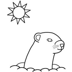 Página para colorir: Marmota (animais) #10997 - Páginas para Colorir Imprimíveis Gratuitamente