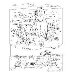 Página para colorir: Marmota (animais) #11051 - Páginas para Colorir Imprimíveis Gratuitamente