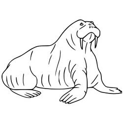 Desenho Morsa (Animais) #208654 para imprimir e colorir