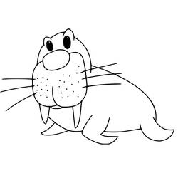 Desenho Morsa (Animais) #208682 para imprimir e colorir