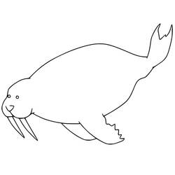 Desenho Morsa (Animais) #208686 para imprimir e colorir